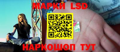 прущие грибы Партизанск