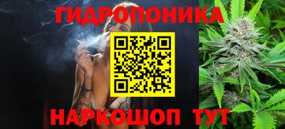 прущие грибы Партизанск