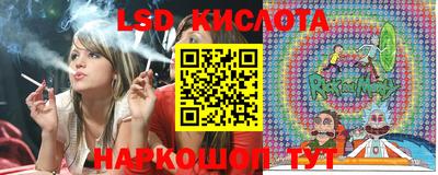 прущие грибы Партизанск