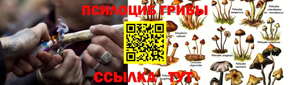 Томск  Галлюциногенные грибы GOLDEN TEACHER  Вход с VPN 